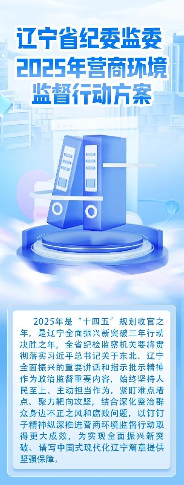 一图读懂丨辽宁省纪委监委2025年营商环境监督行动规划