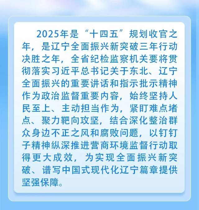 1.党风廉政-清廉文化（面向社会）-一图读懂丨辽宁省纪委监委2025年营商环境监督行动规划(1)(1)(2).jpg